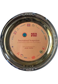 Honorary Certificate of Pakistan 2019 International Symposium on Insulators